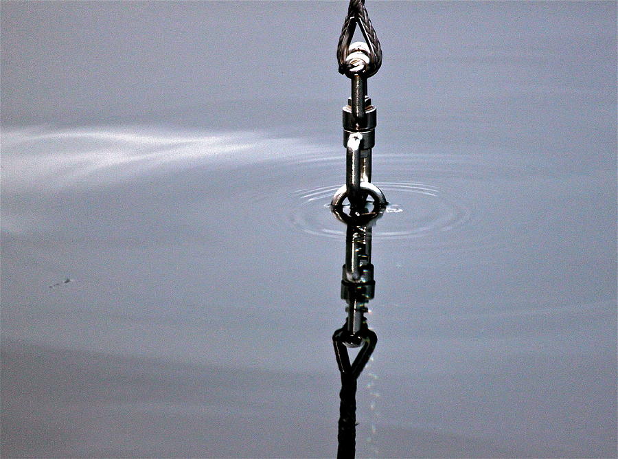 Anchor in Still Water Photograph by Michael Cinnamond