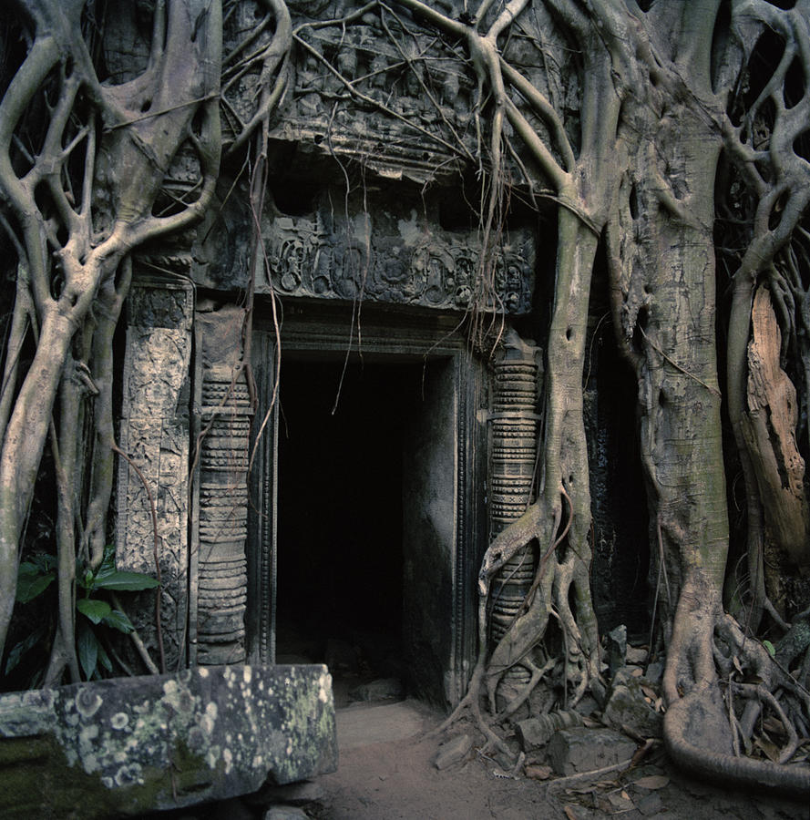 Ancient Angkor Cambodia Photograph by Shaun Higson