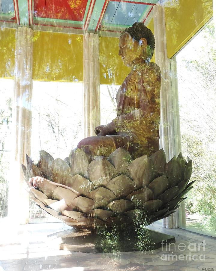 Ancient Buddha Jungle Garden Pool Avery Island Louisiana Digital Art by Lizi Beard-Ward