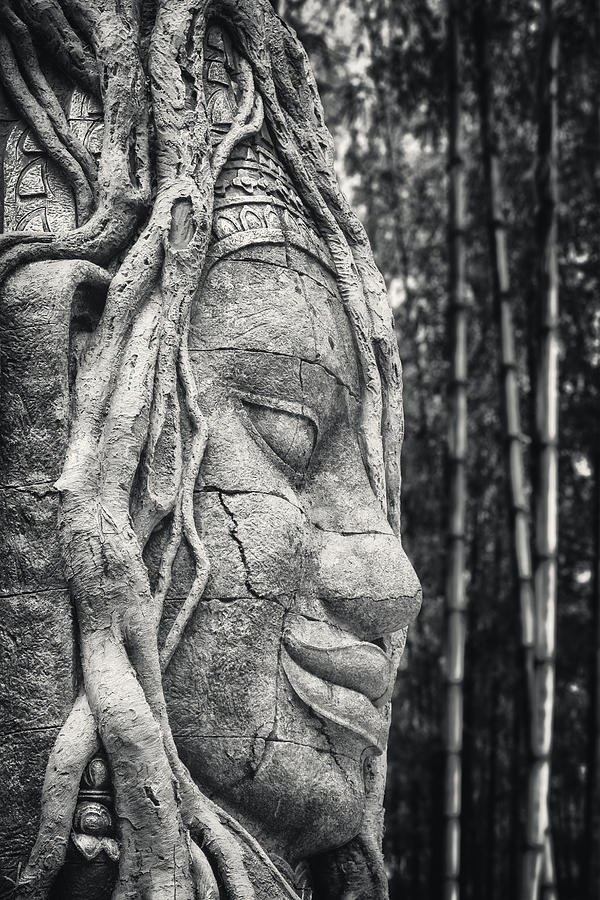 Ancient Buddha Stone Head Photograph by Adam Romanowicz