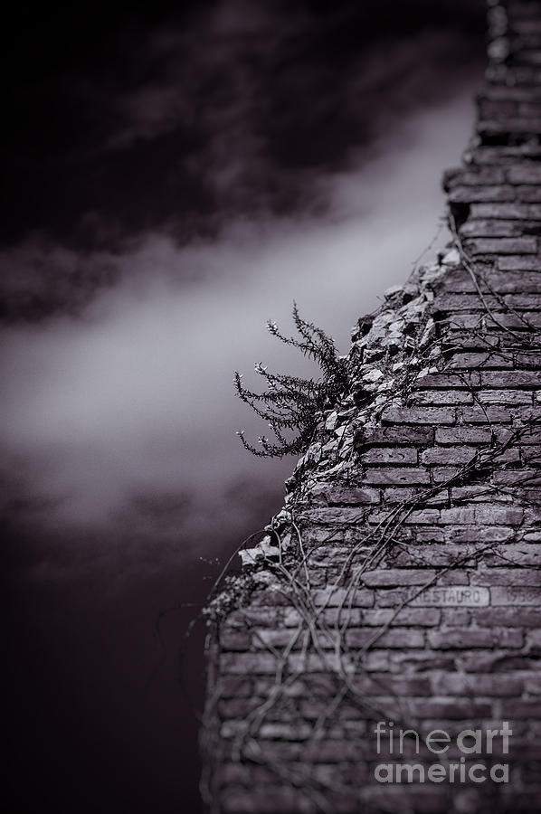Ancient crumbled wall Photograph by Silvia Ganora