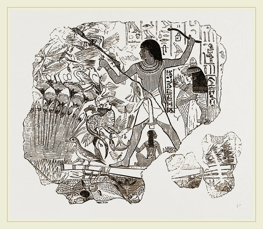 Nature Drawing - Ancient Egyptians Bird-catching In The Marshes by Litz Collection