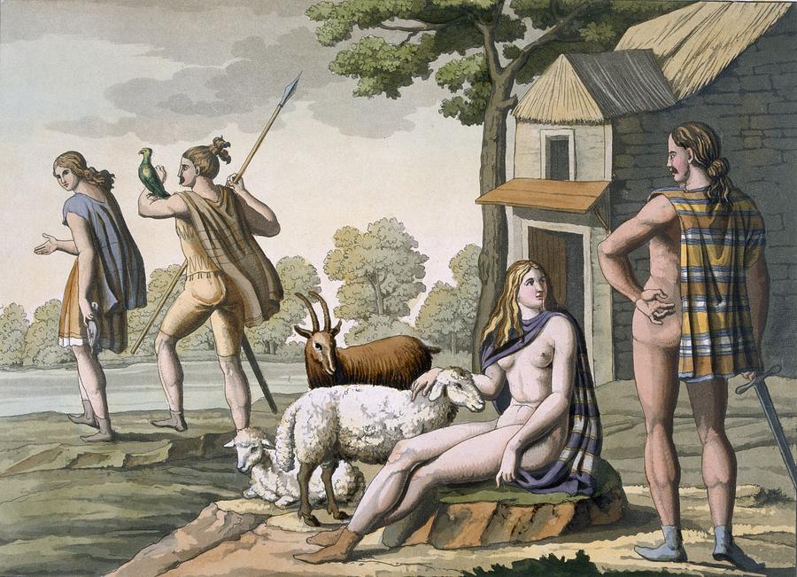 Sheep Drawing - Ancient Gauls, C.1800-18 by Italian School