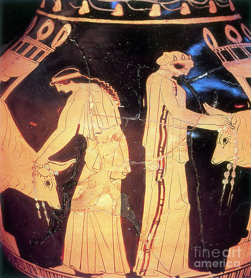 Ancient Greek Preparation Ofi Photograph by Photo Researchers