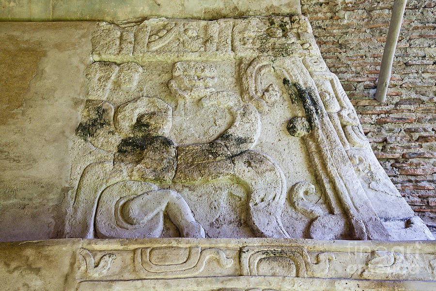 Mayan Photograph - Ancient Mayan Carving by Ellen Thane