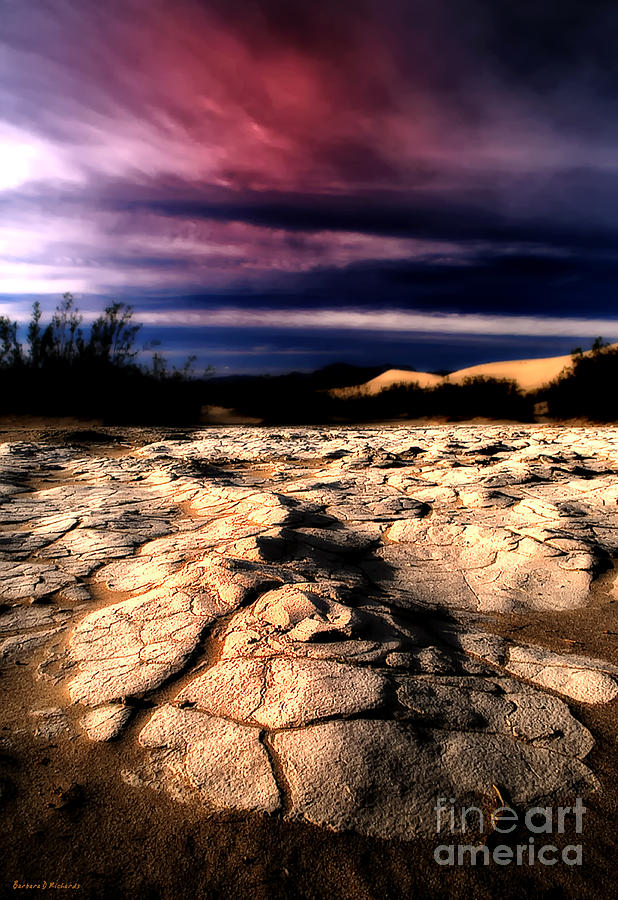 Sunset Photograph - Ancient Mud by Barbara D Richards