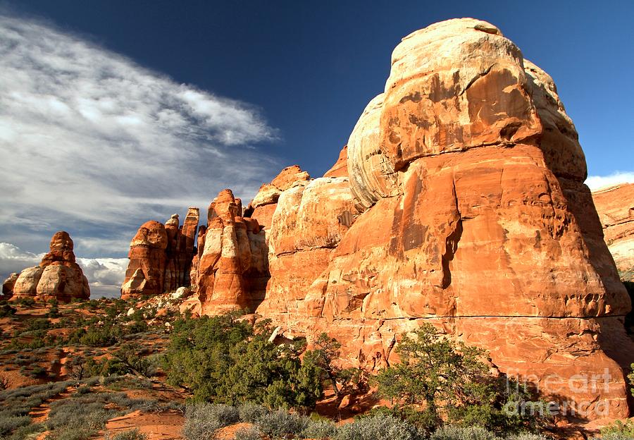 Canyonlands National Park Photograph - Ancient Needles by Adam Jewell