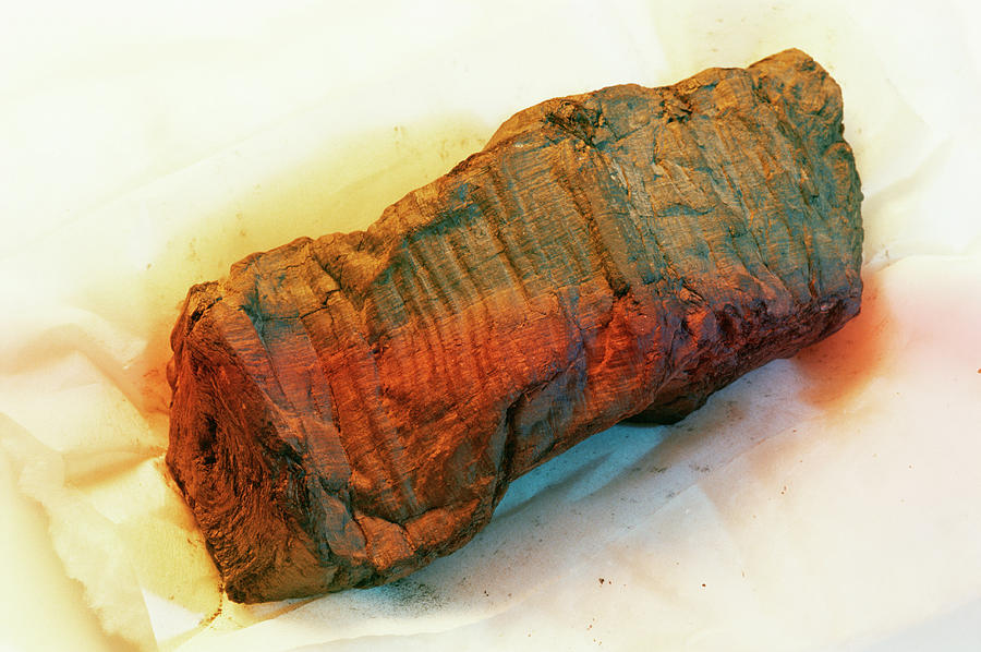 Greek Photograph - Ancient Papyrus Scroll by Pasquale Sorrentino/science Photo Library