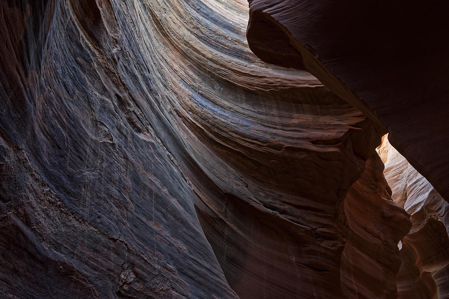 Desert Photograph - Ancient Light by Dustin LeFevre