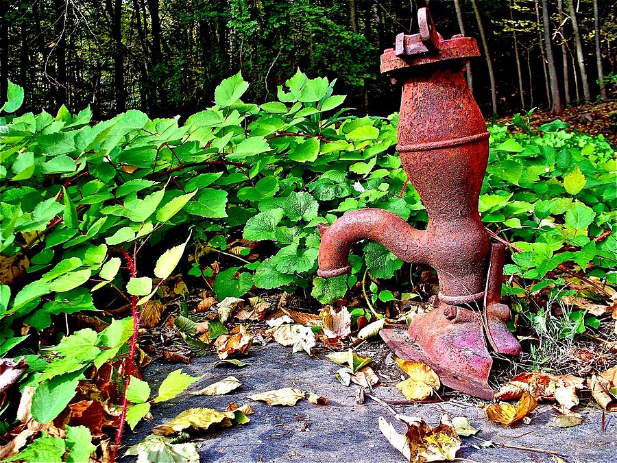 Ancient Pump Photograph by Kevin Wheeler