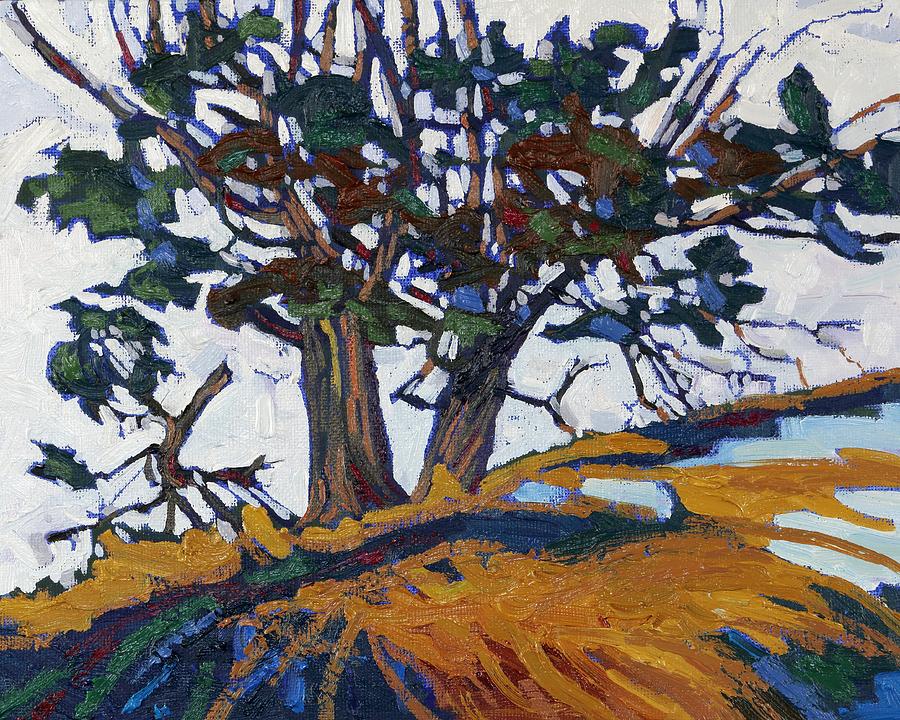 Winter Painting - Ancient Red Cedars by Phil Chadwick