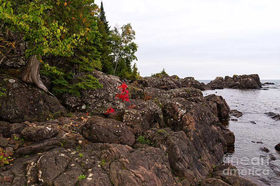 Ancient rocks of Lake Superior Photograph by Les Palenik