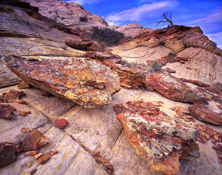 Ancient Rocks Photograph by Ray Mathis