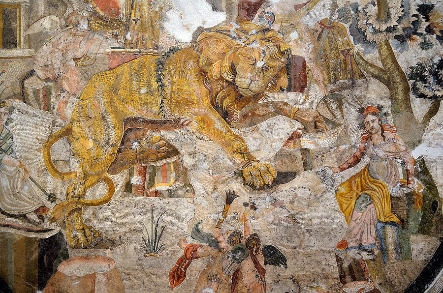 Ancient Roman Mosaic With Lion Photograph by Kenneth Murray