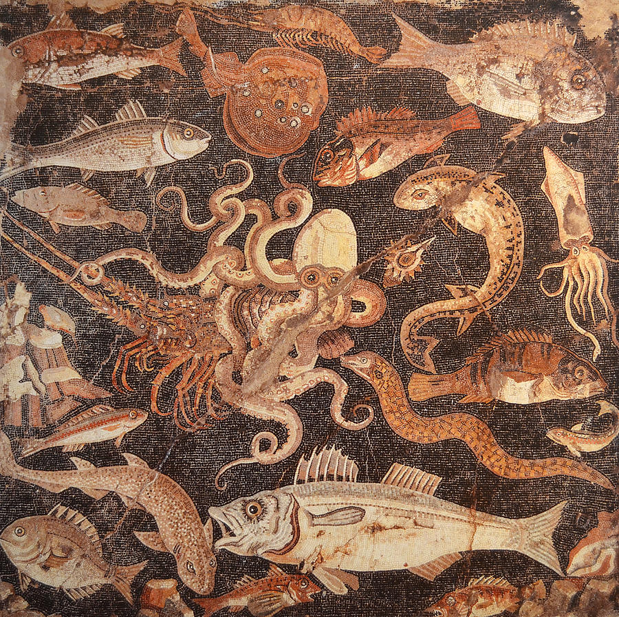 Ancient Roman Mosaic With Octopus Photograph by Kenneth Murray