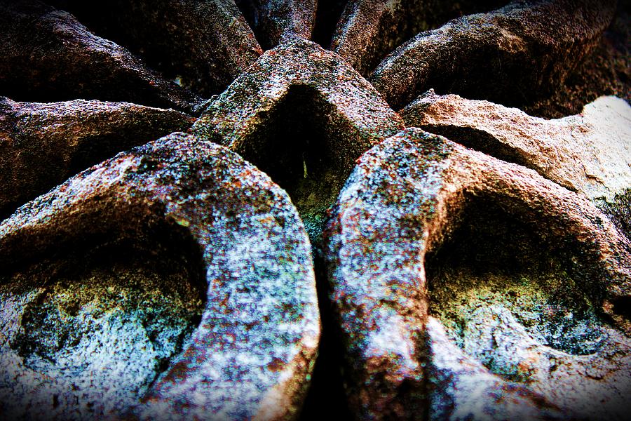 Ancient Stone Carving Photograph by Alina Skye