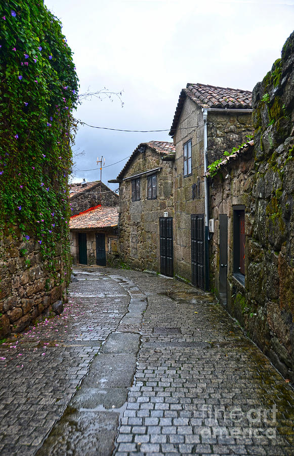 Ancient street in Tui Photograph by RicardMN Photography