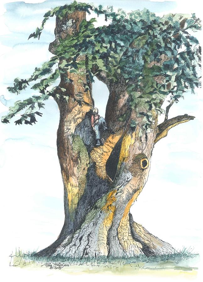 Ancient tree lounge Painting by Petra Stephens