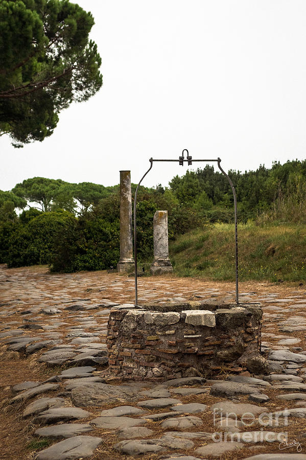 Tree Photograph - Ancient well of Ostia Antica by Prints of Italy