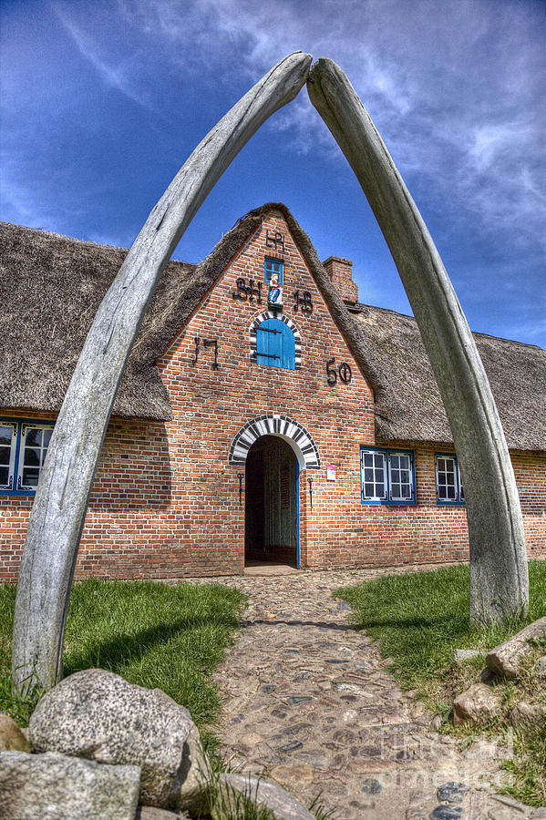 Ancient Whales Jawbones Gate Photograph by Heiko Koehrer-Wagner