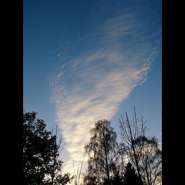 Clouds Photograph - And Another, Kinda Looks Like A Fluffy by Vhairi Walker
