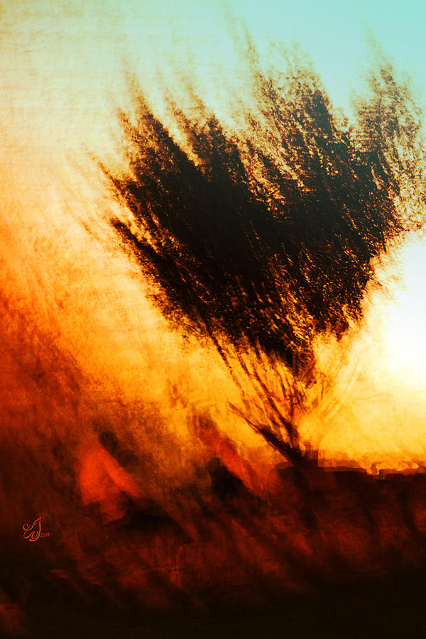 Moses Photograph - The Bush Burned .. And The Bush Was Not Consumed by Music of the Heart