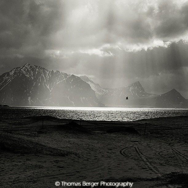Lofoten Photograph - And God Said: “fly Into The Light by Thomas Berger