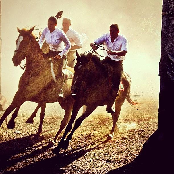 Horse Photograph - And Race by Faye Sanna