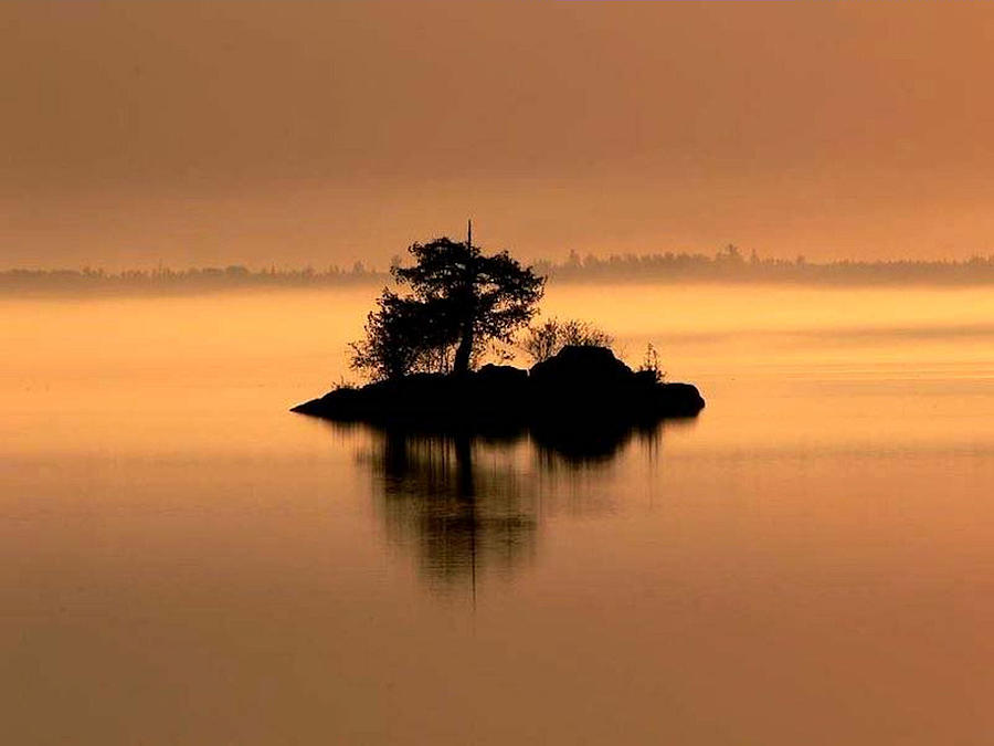 Tree Photograph - And The Fog Rolls In by Larry Trupp
