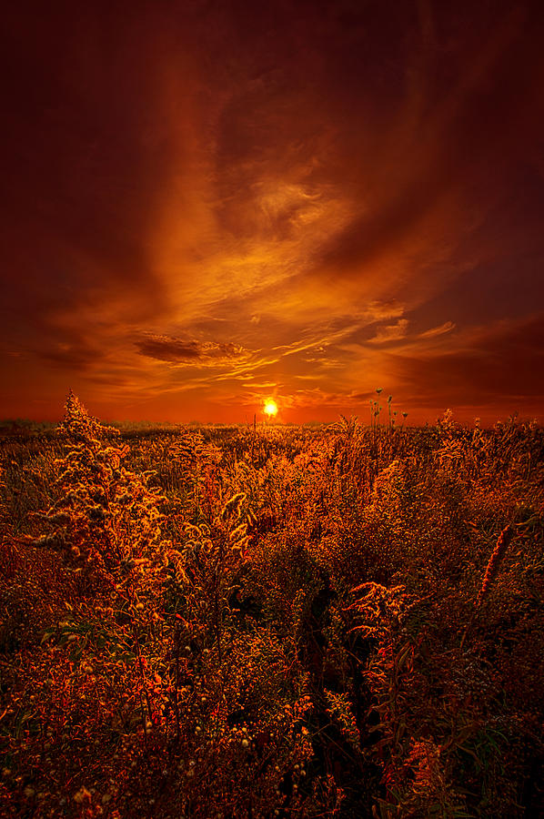 And The Sun Rose Yet Again Photograph by Phil Koch