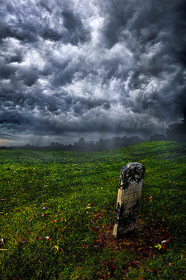 And Then There Was Gloom Photograph by Phil Koch