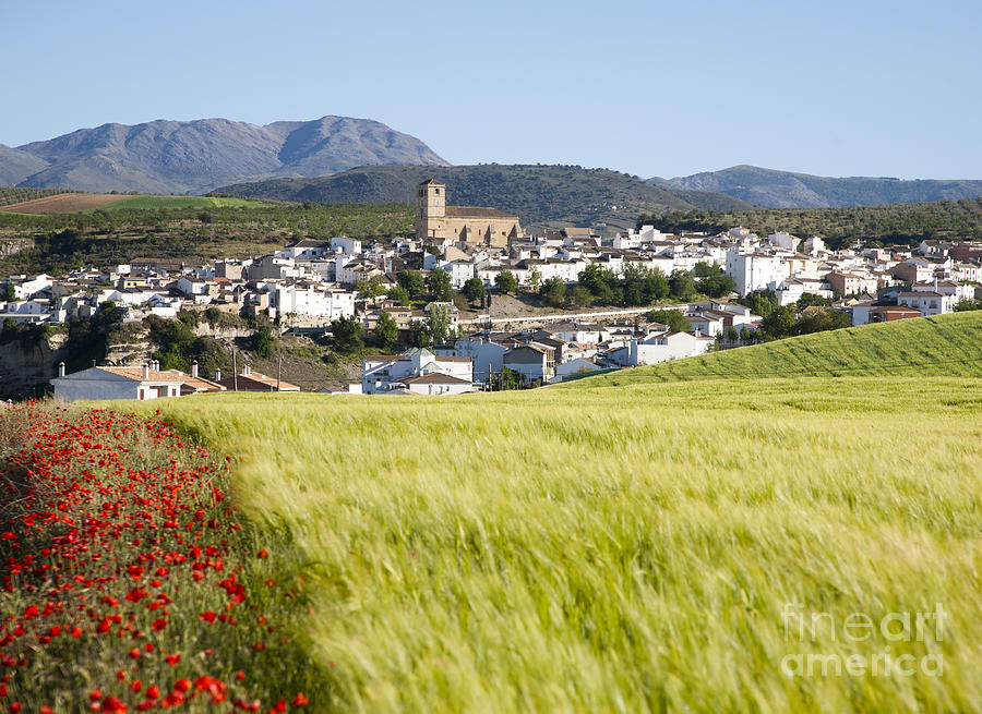 Flower Photograph - Andalucia farming landscape of fields and rolling hills Alhama de Granada Spain  by Ian Murray