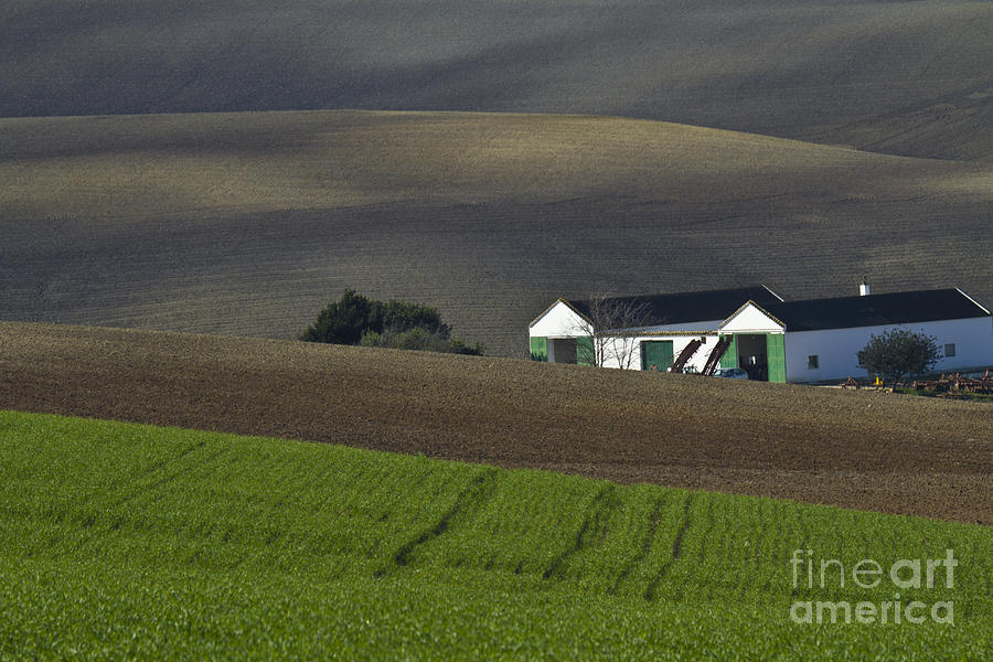Andalusian Farmland Photograph