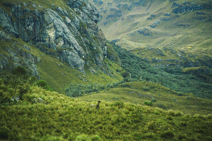 Andean Montain Range Photograph by Julia Davila-lampe