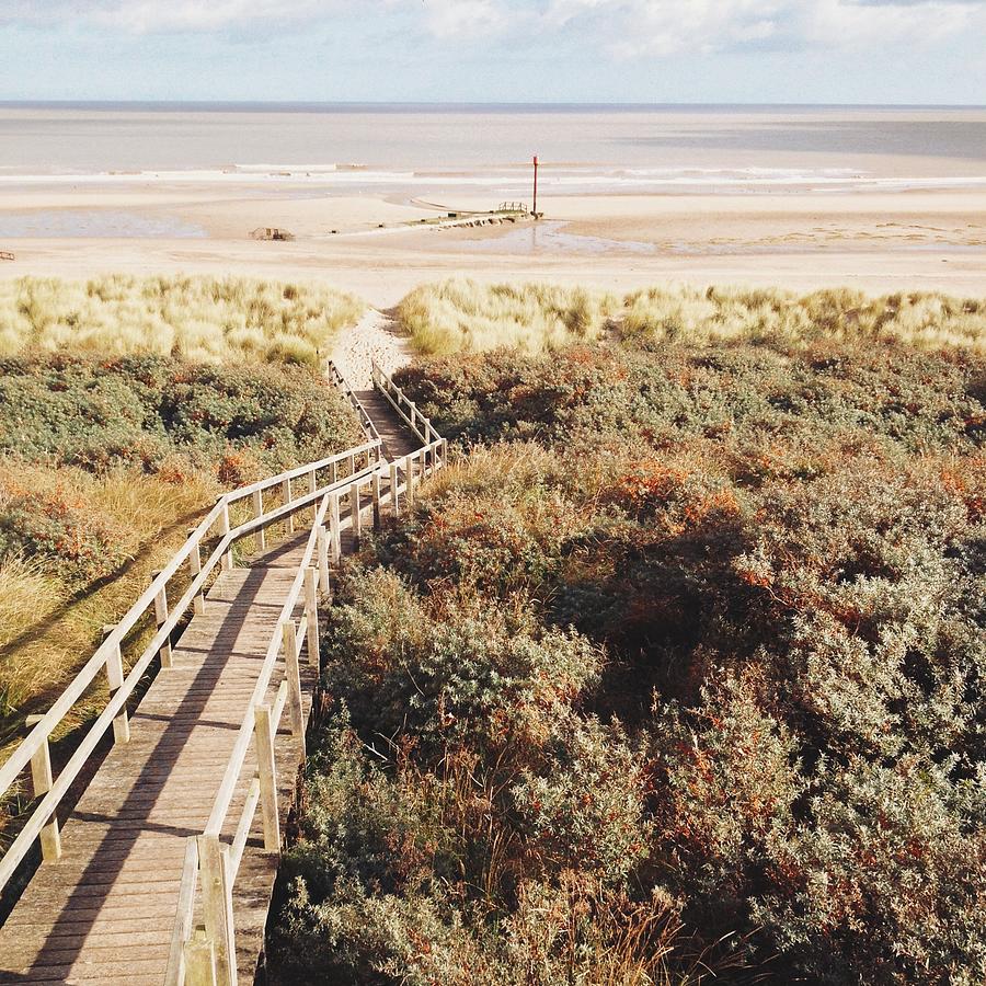 Holiday Photograph - Anderby Bird Hide View by Gemma Knight