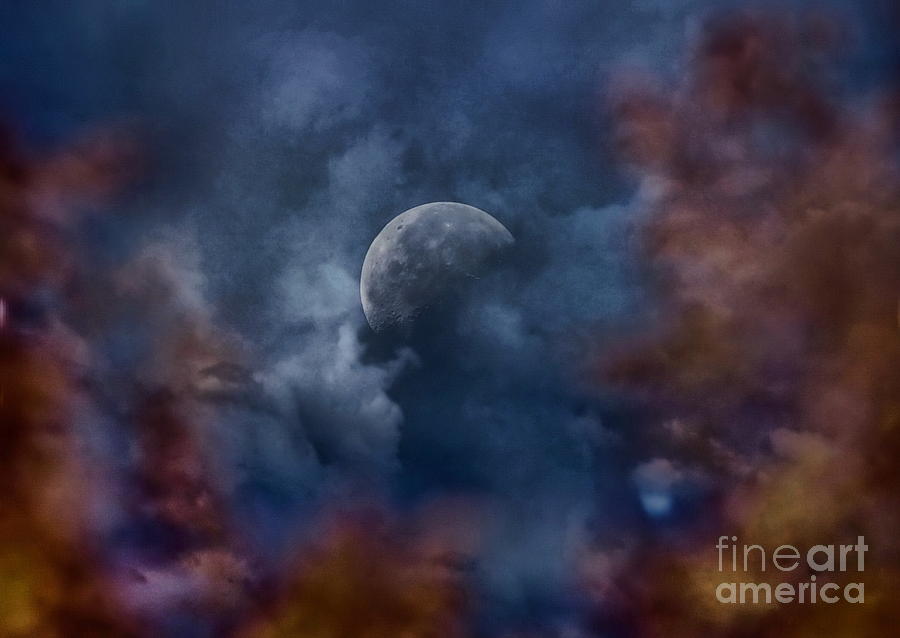 Fall Photograph - Moon and Autumn Leaves  by Andrea Kollo