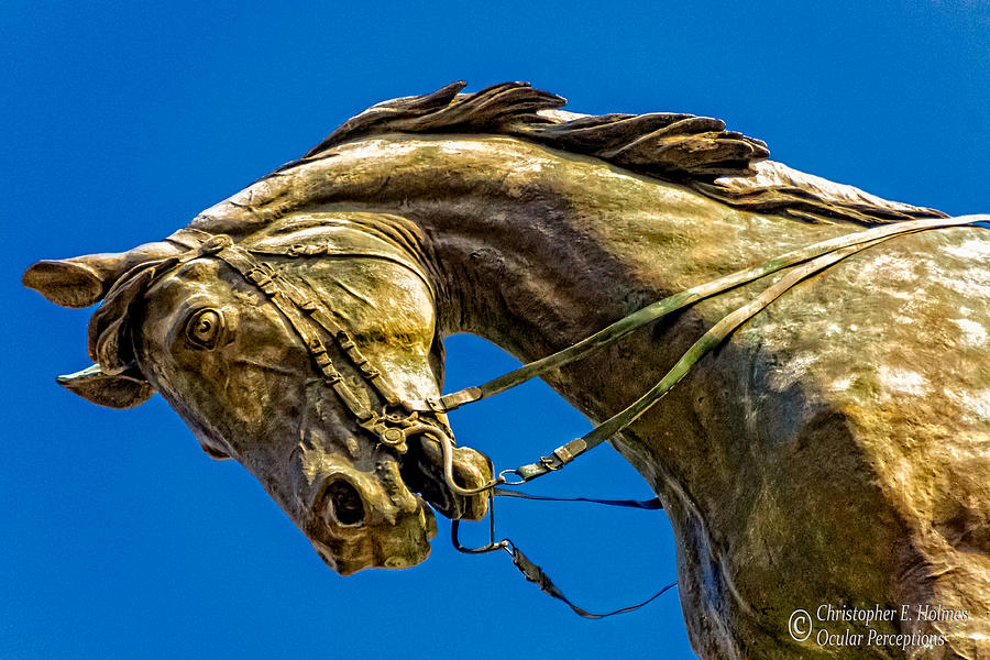 Andrew Jacksons Horse  Photograph by Christopher Holmes