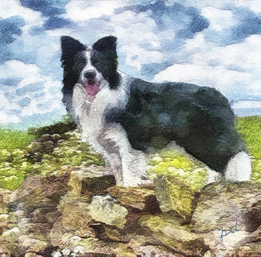 Andrew - Border Collie Painting by Doggy Lips - Fine Art America