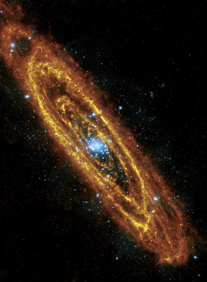 Andromeda Galaxy Photograph by Adam Romanowicz