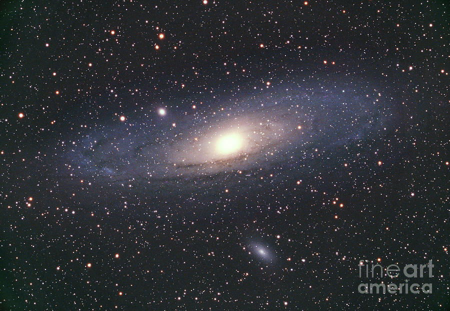 Andromeda Galaxy Photograph by Chris Cook