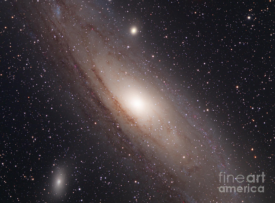 Space Photograph - Andromeda Galaxy M31 by Chris Cook