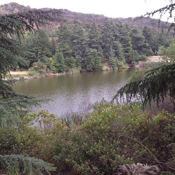 Andy Griffith Lake Photograph by Lucas Stuart