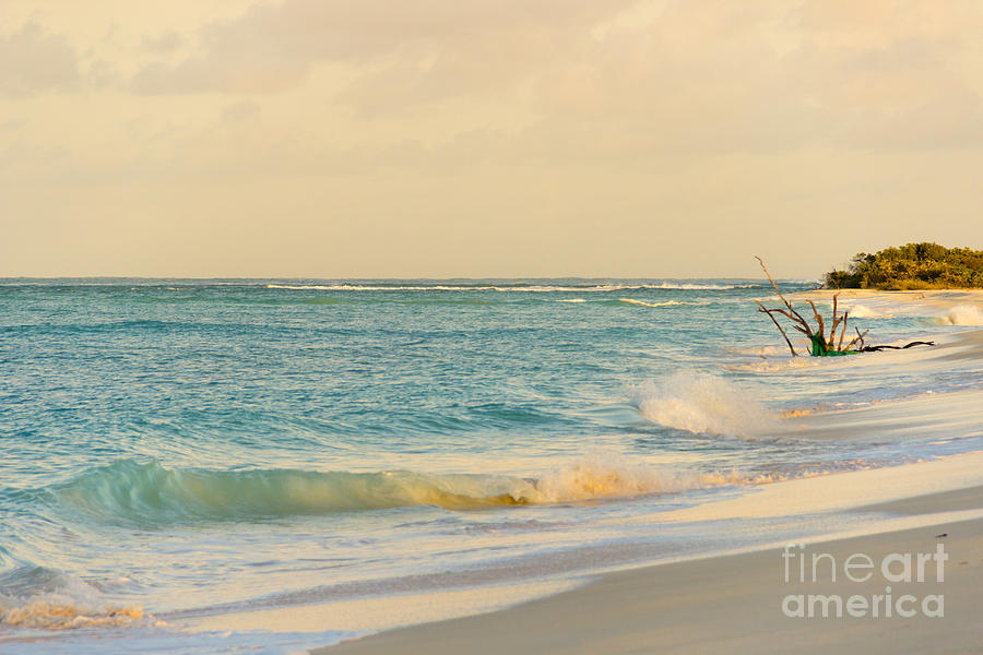 Anegada Morning Photograph by Beverly Tabet