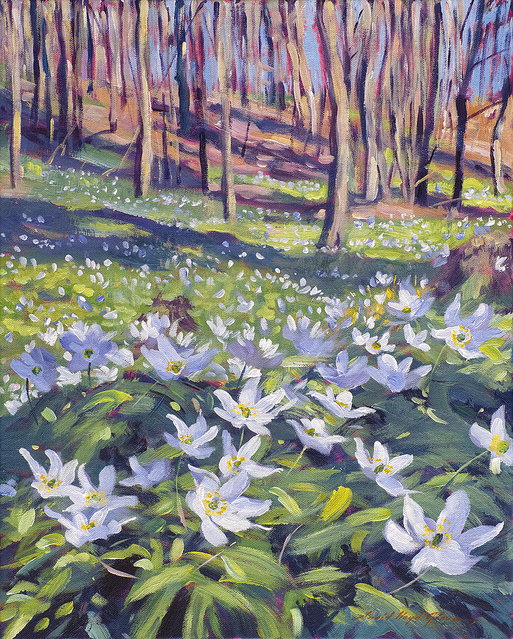 Anemones in the Meadow Painting by David Lloyd Glover