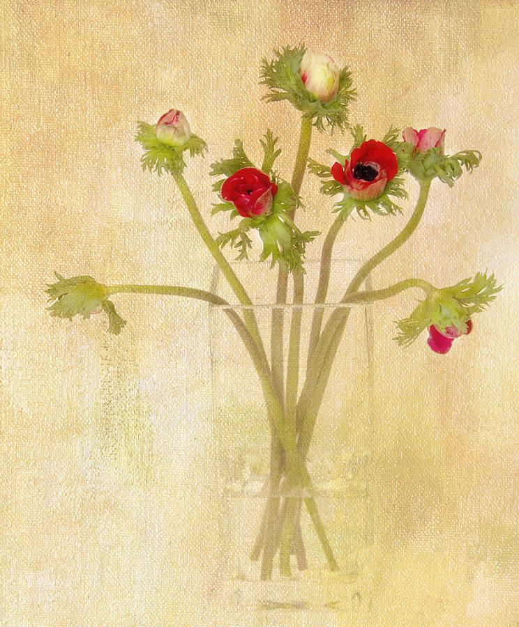 Anemones in Vase I Photograph by Rebecca Cozart