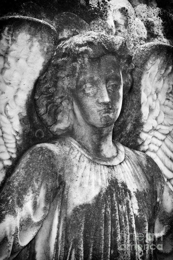 Angel Photograph - Angel 2 by Carrie Cranwill