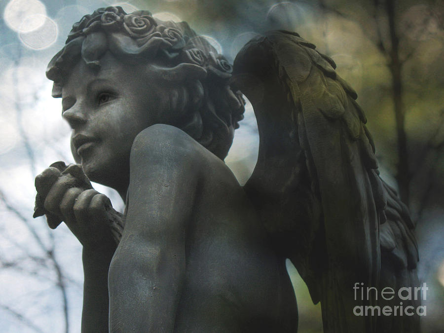 Angel Art Child Angel Wings Ethereal Dreamy Child Cherub Angel Holding Rose Photograph by Kathy Fornal