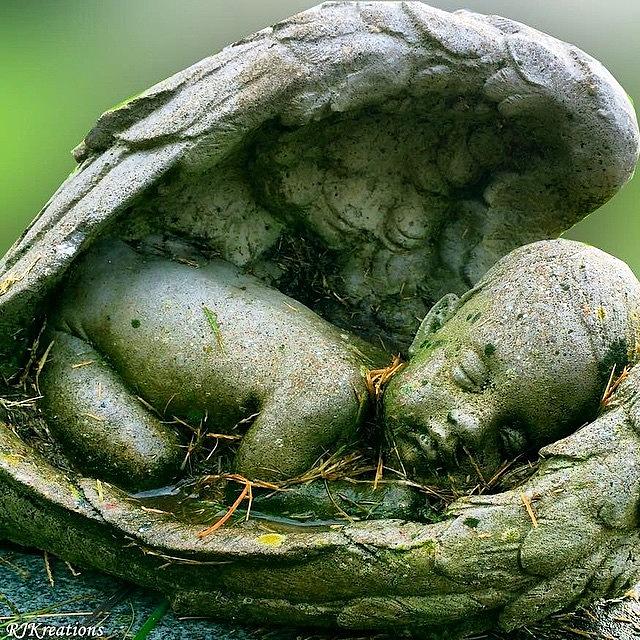 Nature Photograph - #angel #cherub #baby #cemetery #hdr by Roberta Weinmann