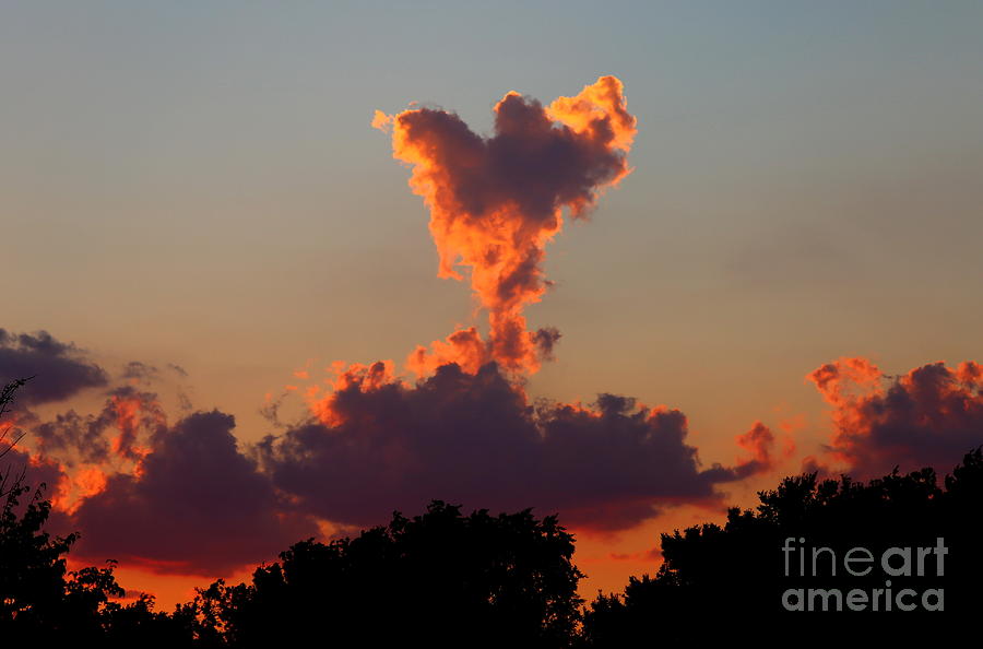 Sunset Photograph - Angel Cloud by Marty Fancy