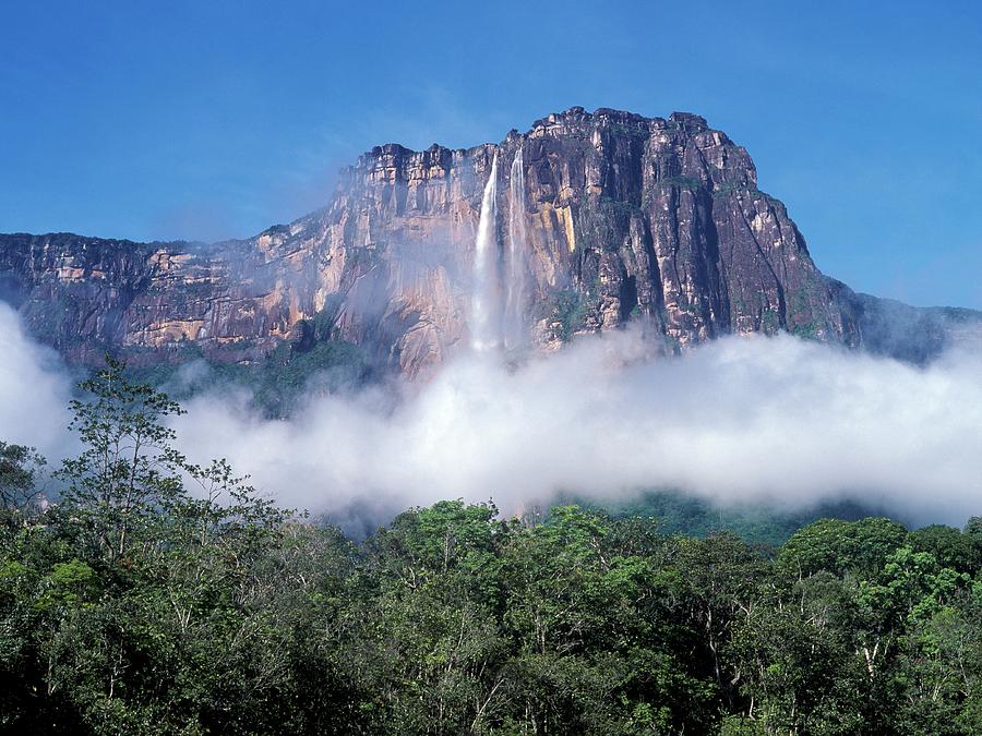 Angel Falls Photograph by David Woodfall Images/science Photo Library
